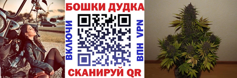 Купить закладки  Жиздра  Канабис Ganja 